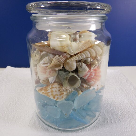 REAL sea shells & blue tumbled glass in NEW glass jar w seal & lid (+2 pounds) - Picture 4 of 16